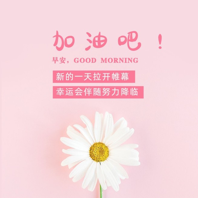 早安问候简约唯美方形海报预览效果