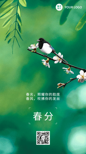 春分节气祝福动态手机海报预览效果