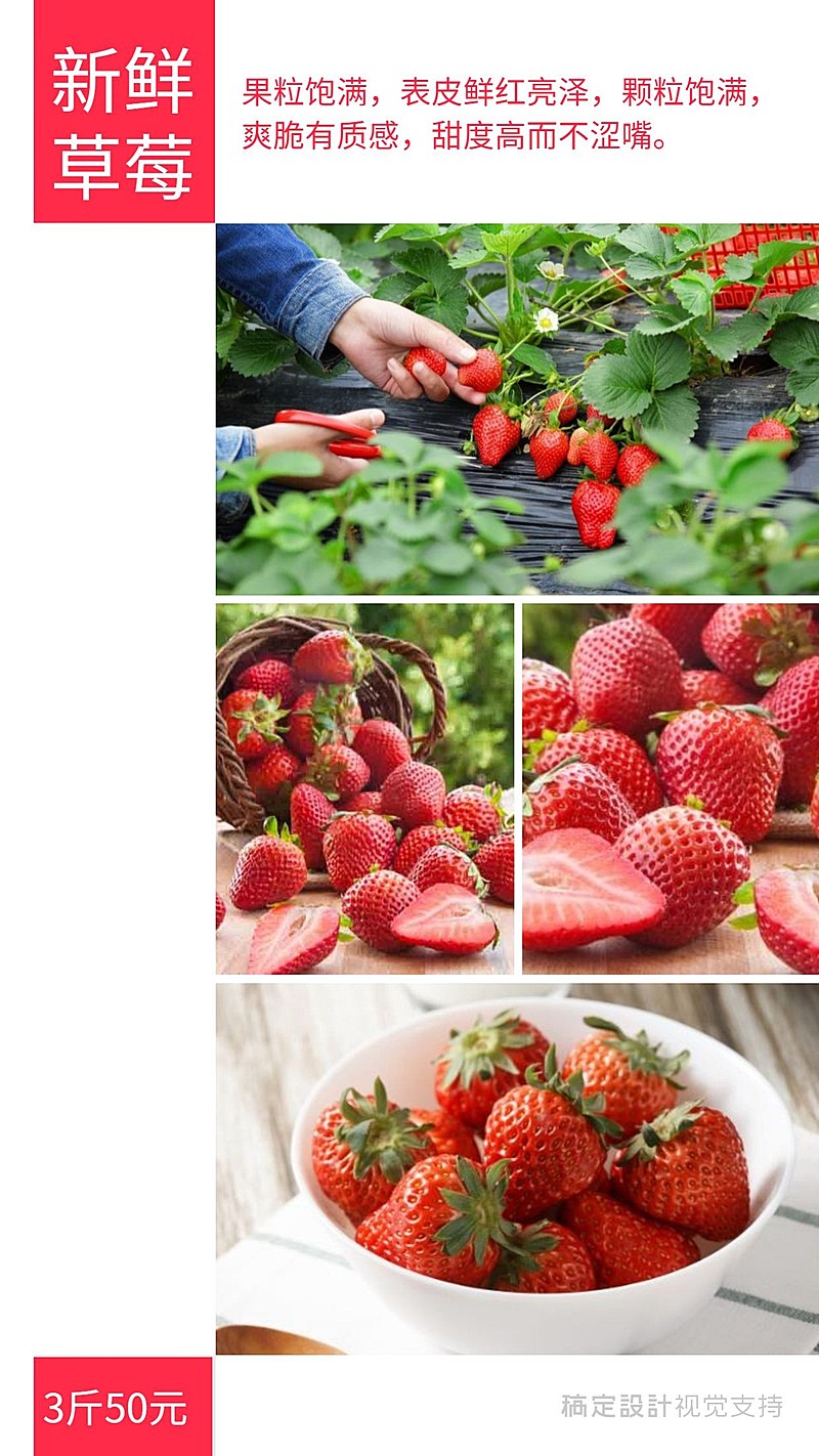 蔬菜水果产品展示