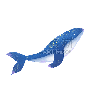 手绘-鲸鱼动物元素常规贴纸5
