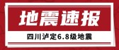 模板缩略图