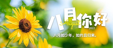通用8月你好祝福清新公众号首图
