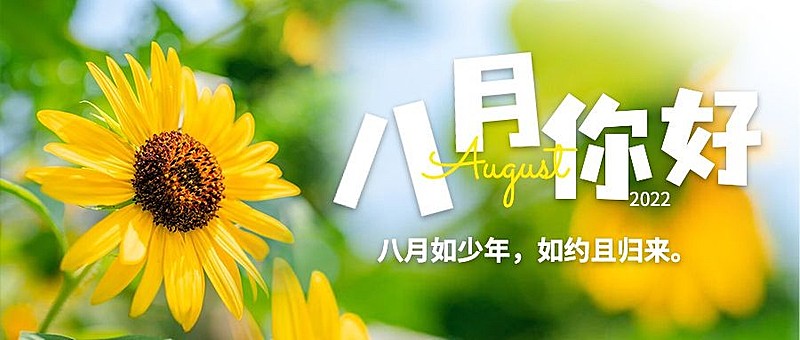 通用8月你好祝福清新公众号首图