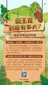 模板缩略图