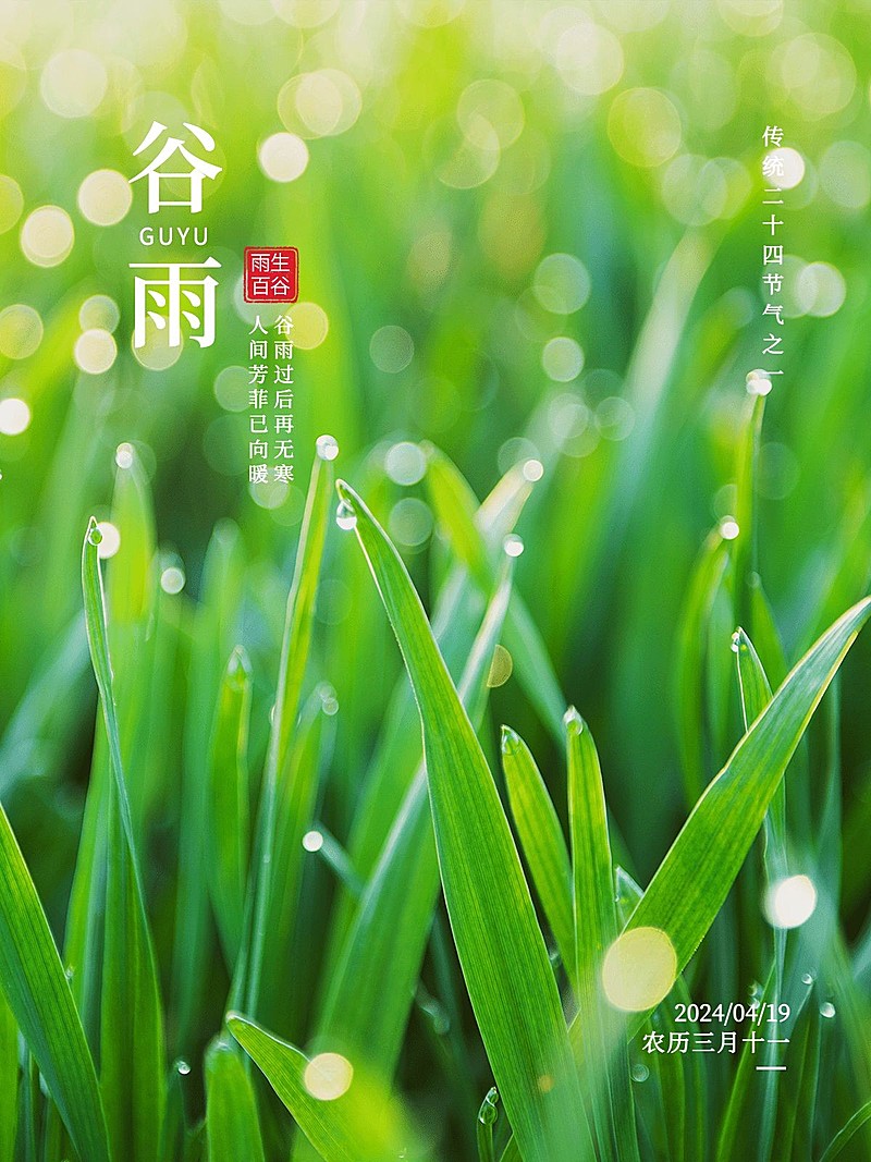 谷雨节日祝福简约风plog模板