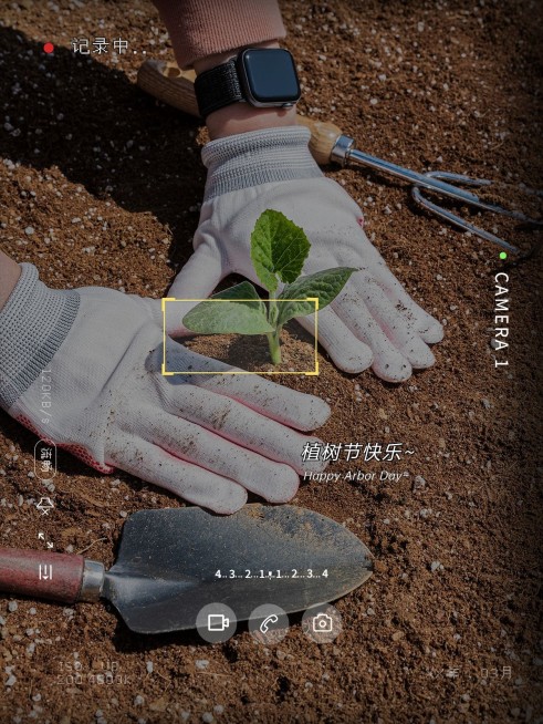 植树节节日祝福文艺风plog模板预览效果