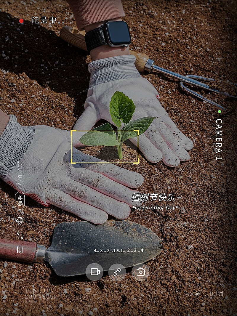 植树节节日祝福文艺风plog模板