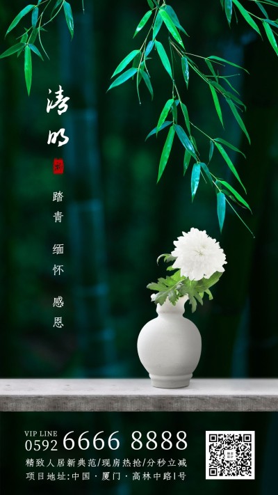 清明-节气实景手机海报