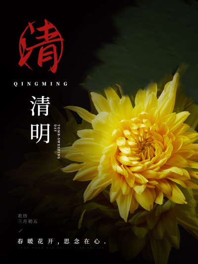 清明-节气春天节气祝福中国风plog模板