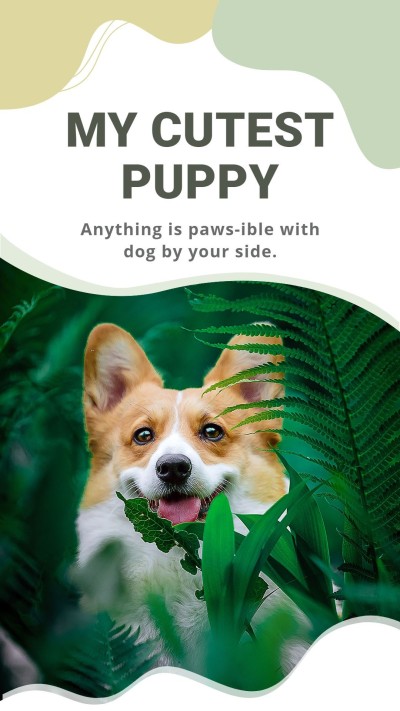 Fresh Color Block Decorate Pet Dog Photos Instagram Story