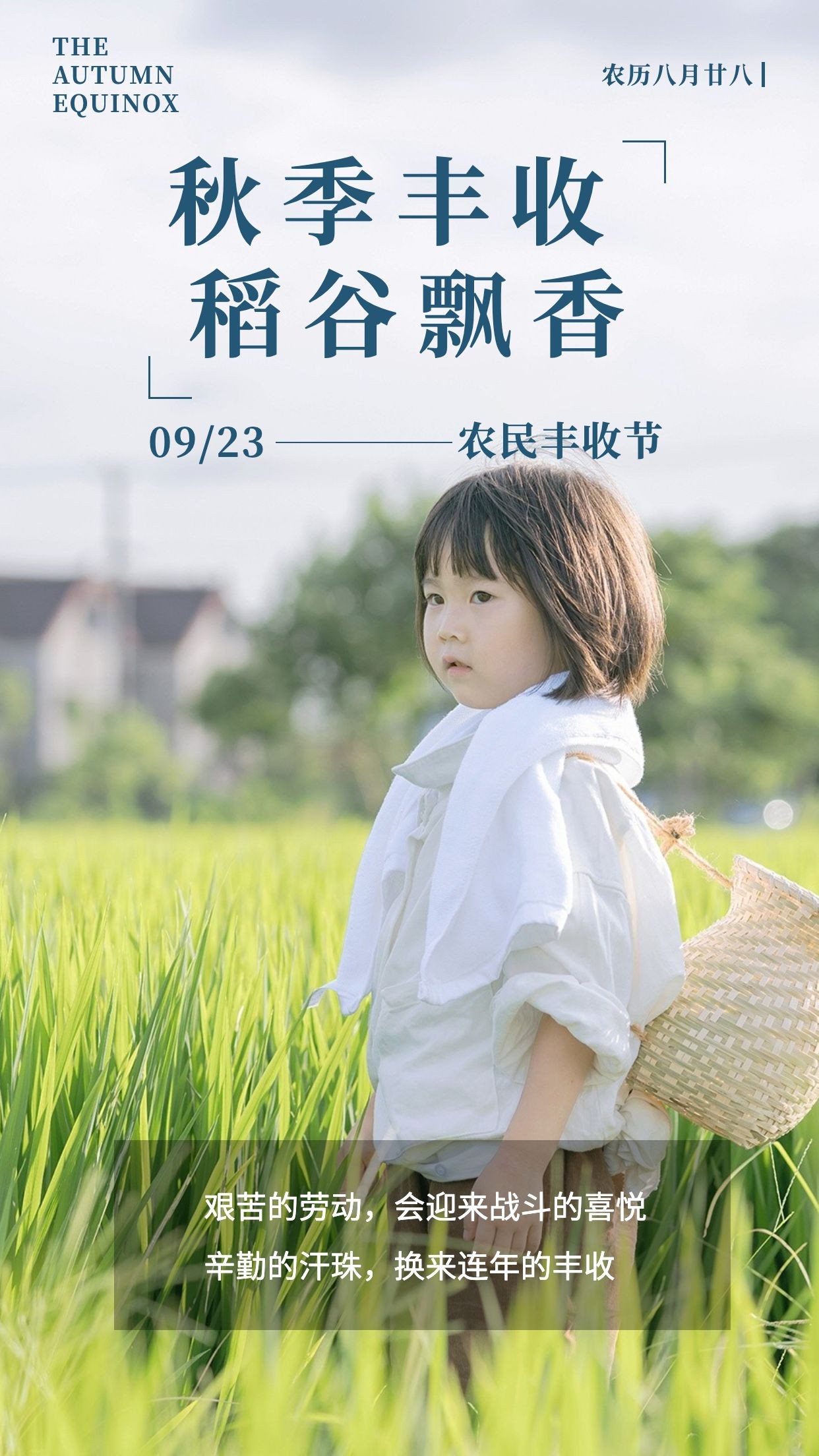 通用中国农民丰收节宣传清新感手机海报预览效果