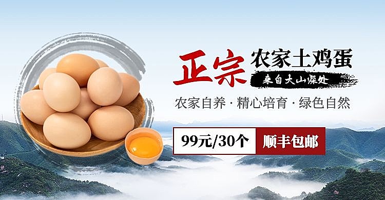 生鲜蛋类土特产鸡蛋禽类海报banner