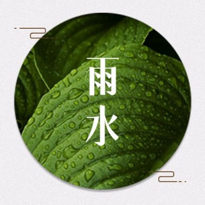 雨水节气中国风中式创意公众号次图