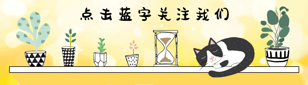 清新风可爱猫动态引导关注预览效果