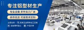 模板缩略图