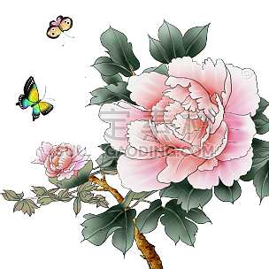 水彩风-中国风植物花卉贴纸-牡丹