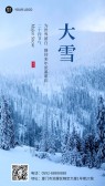 模板缩略图