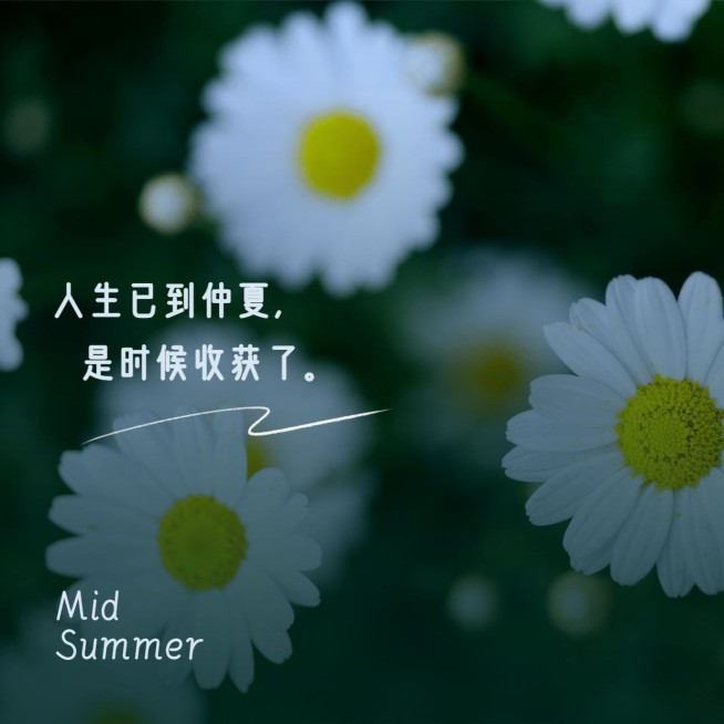 深色模式仲夏鲜花问候朋友圈封面预览效果
