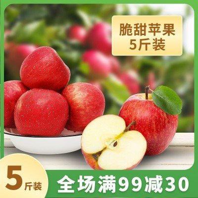 电商食品水果产品展示直通车主图
