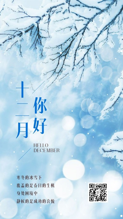 通用十二月你好问候实景手机海报