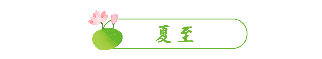 夏天荷花夏至节气动态分割线预览效果