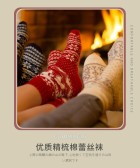 模板缩略图
