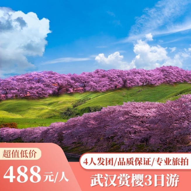 旅游出行春季营销清新主图直通车预览效果