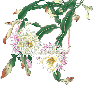 中国风植物贴纸-花卉
