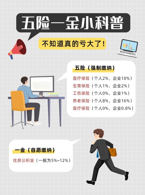 企业人事社保政策科普小红书配图预览效果
