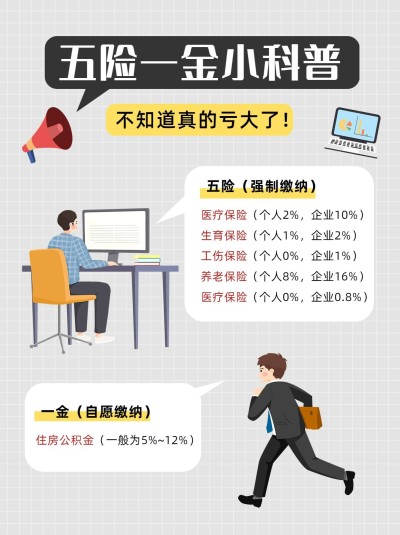 企业人事社保政策科普小红书配图