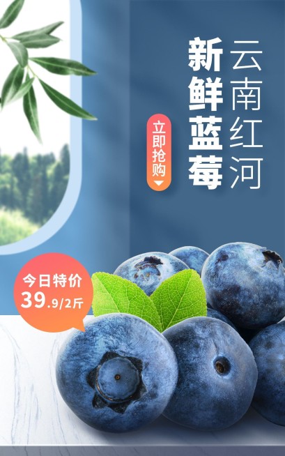 小程序商城水果蓝莓海报预览效果