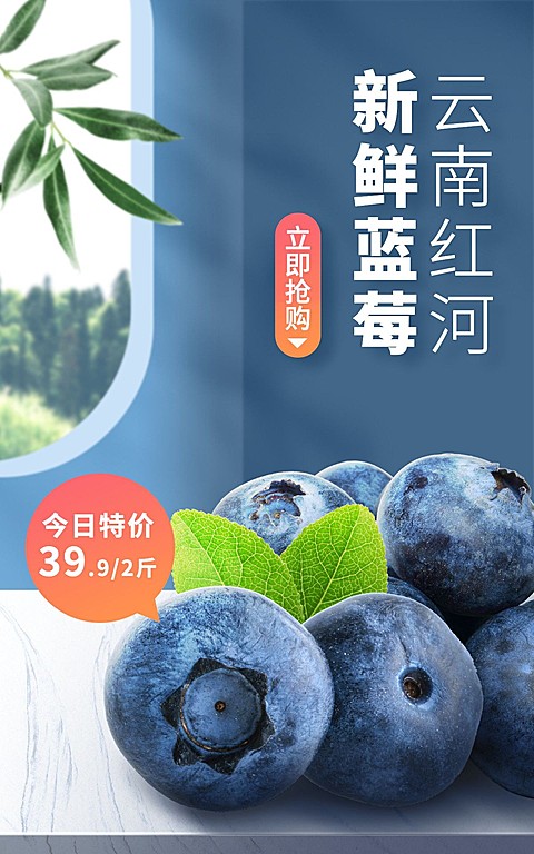 小程序商城水果蓝莓海报
