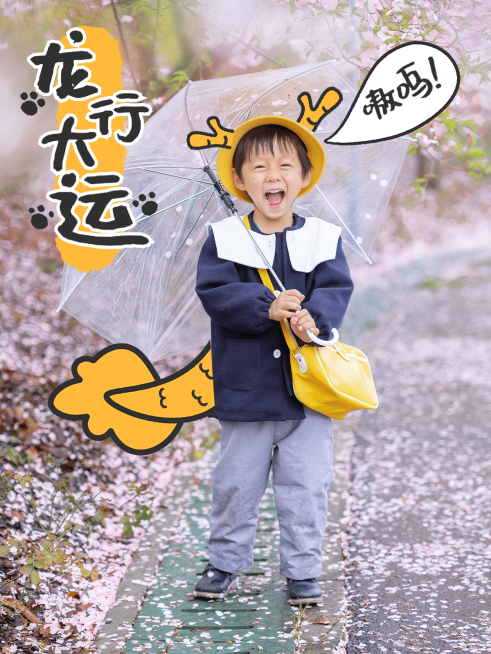 春节晒图春节祝福新年祝福晒照装饰元素plog模板预览效果