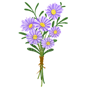 花卉元素插画