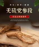 模板缩略图