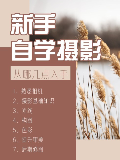 简约实景ins晒图摄影攻略小红书配图预览效果