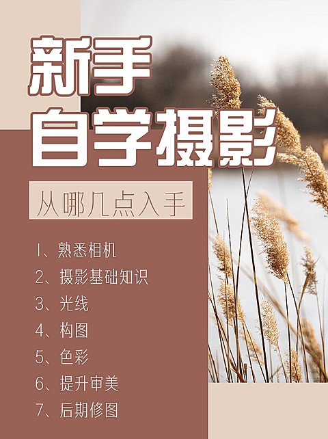 简约实景ins晒图摄影攻略小红书配图