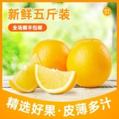 模板缩略图