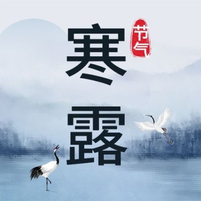 寒露节气祝福问候中国风白鹭次图