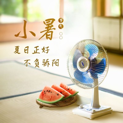 小暑节气祝福夏天西瓜方形海报