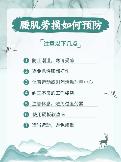 养生保健腰脊调理知识科普小红书配图预览效果