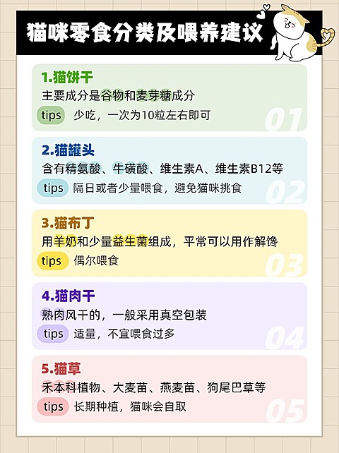 萌宠猫咪知识科普小红书封面配图