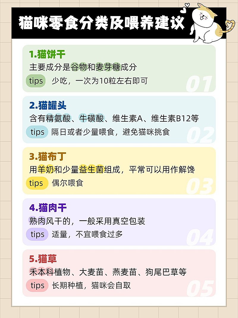 萌宠猫咪知识科普小红书封面配图