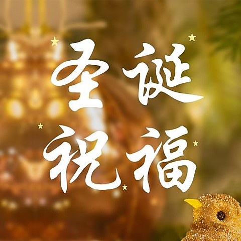 圣诞节祝福灯光温馨公众号次图