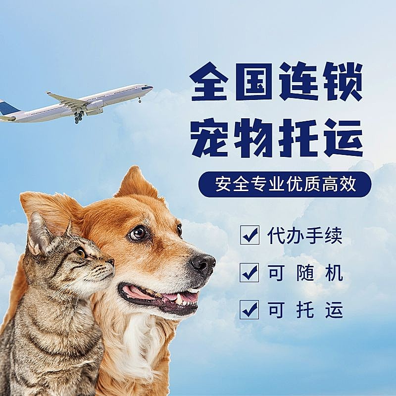 宠物托运服务直通车主图