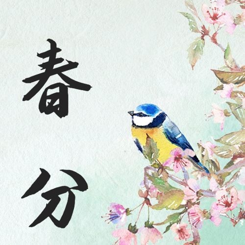 春分节气中国风公众号次图预览效果