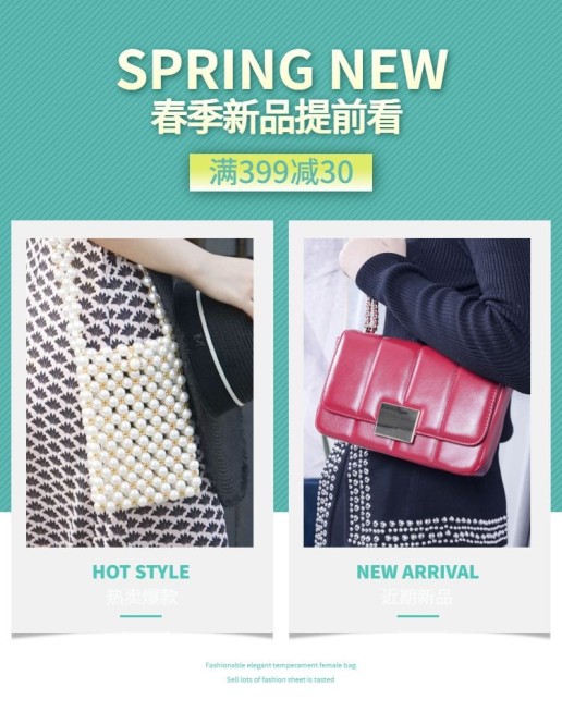 春季上新/女包海报预览效果