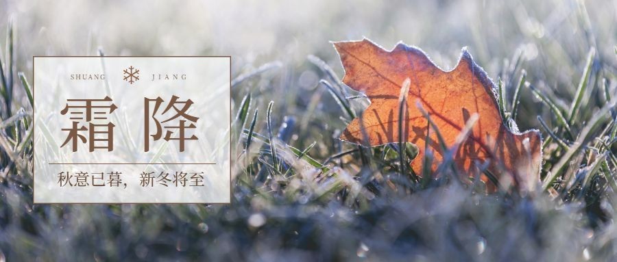 霜降二十四节气实景排版公众号首图预览效果