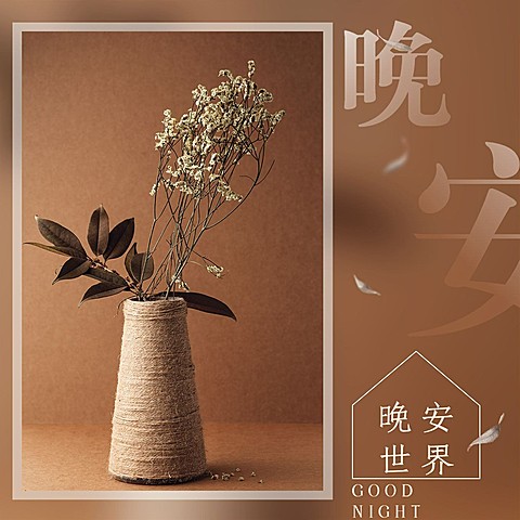 日签晚安实景静物清新文艺方形海报