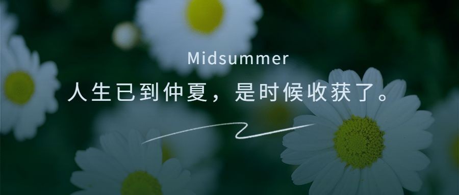 深色模式鲜花清新夏日问公众号首图